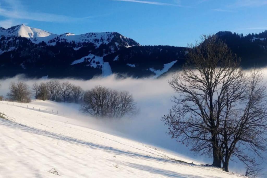 Jolie Vue Au Calme Lejlighed Évian-les-Bains Eksteriør billede